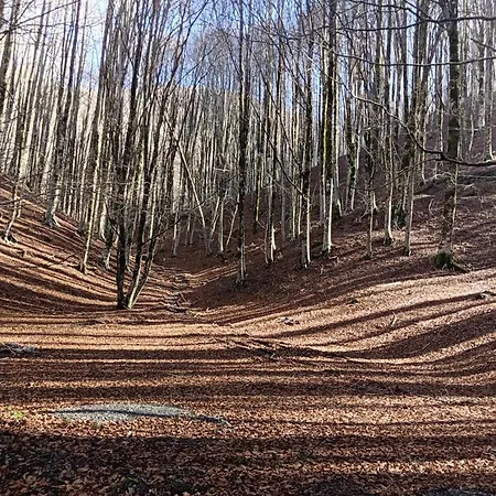 Aurea & 호텔 Papasidero