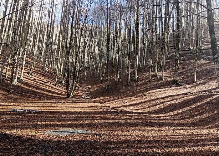 Aurea & Hotel Papasidero