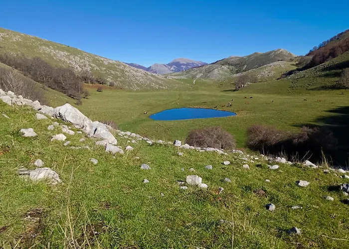 酒店 Aurea & Papasidero